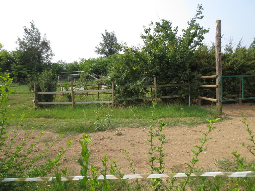 Agriturismo Parco Del Chiese Bedizzole Dış mekan fotoğraf