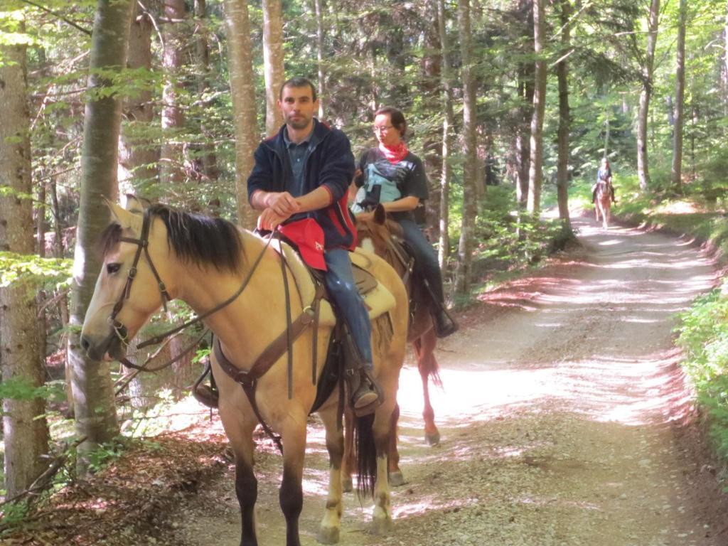 Agriturismo Parco Del Chiese Bedizzole Dış mekan fotoğraf
